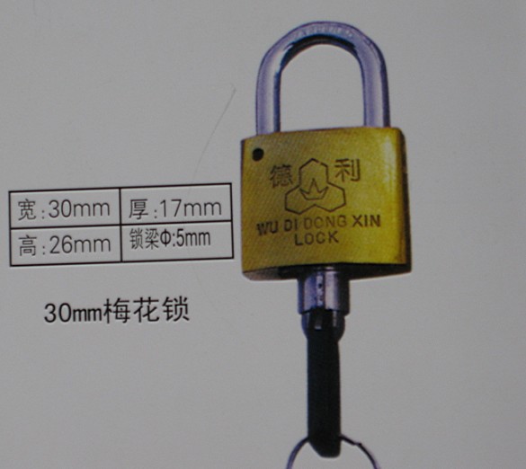 30mm梅花表箱掛鎖,銅掛鎖,一把鑰匙開(kāi)一萬(wàn)把掛鎖,通用鎖